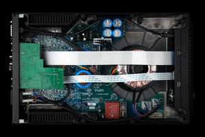 Cyrus Pre-XR - Bottom Inside