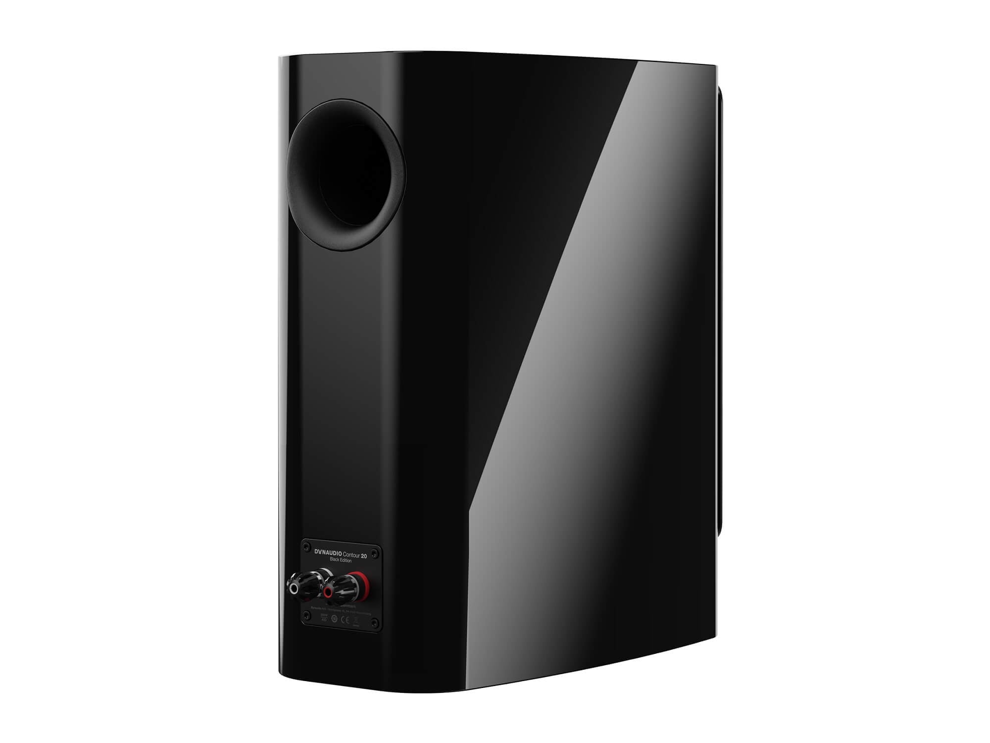 Dynaudio Contour 20 Black-Edition - Rear