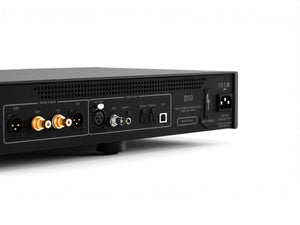 Hegel D50 - Rear Close-Up