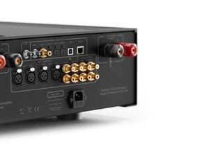 Hegel H600 - Rear / Close-Up
