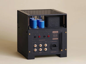 Spotless Audio A1 Bluetooth - Rear