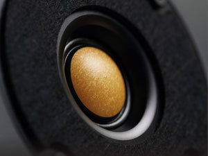 Spotless Audio Eternal 12.3 - Tweeter