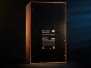 Spotless Audio Eternal 12.3 - Studio Shot Rear