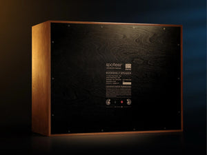 Spotless Audio Eternal 12.5 - Studio Shot Rear