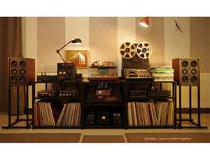 Spotless Audio Eternal 4.6 - Studio Set-Up