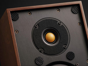 Spotless Audio Eternal 5.2 - Tweeter