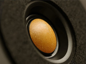 Spotless Audio Eternal 4.2 - Tweeter
