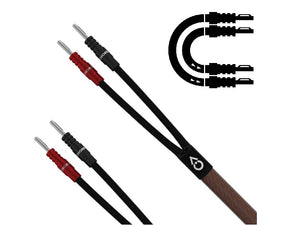 Chord Epic X - Ban - Ban