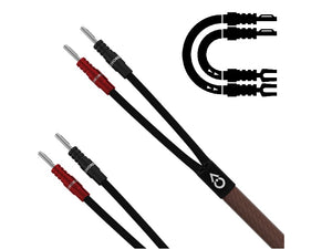 Chord Epic X - Ban - Spade