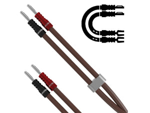 Chord Epic XL - Ban - Spade