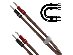 Chord Epic XL - Spade - Ban