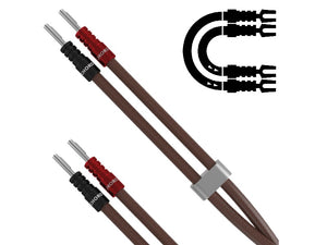 Chord Epic XL - Spade - Spade