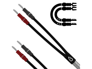 Chord Shawline X - Spade - Ban