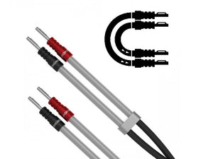 Chord Signature XL - Ban - Ban