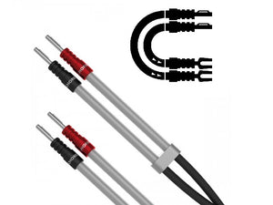 Chord Signature XL - Ban - Spade