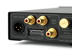 Hegel V10 - Phono Stage - Back Side Left