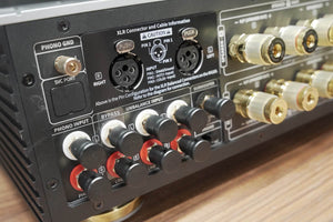 HiFi Rose RA180 - Rear Panel / Left