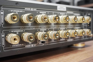 HiFi ROSE RA180 - Rear Panel / Right