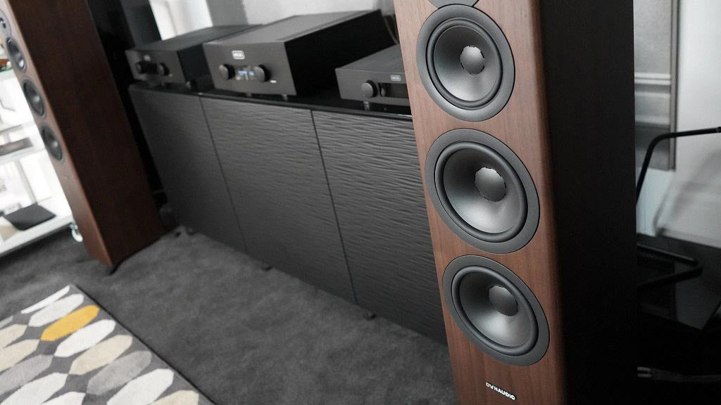 Hampshire HiFi - Dynaudio Contour i 30