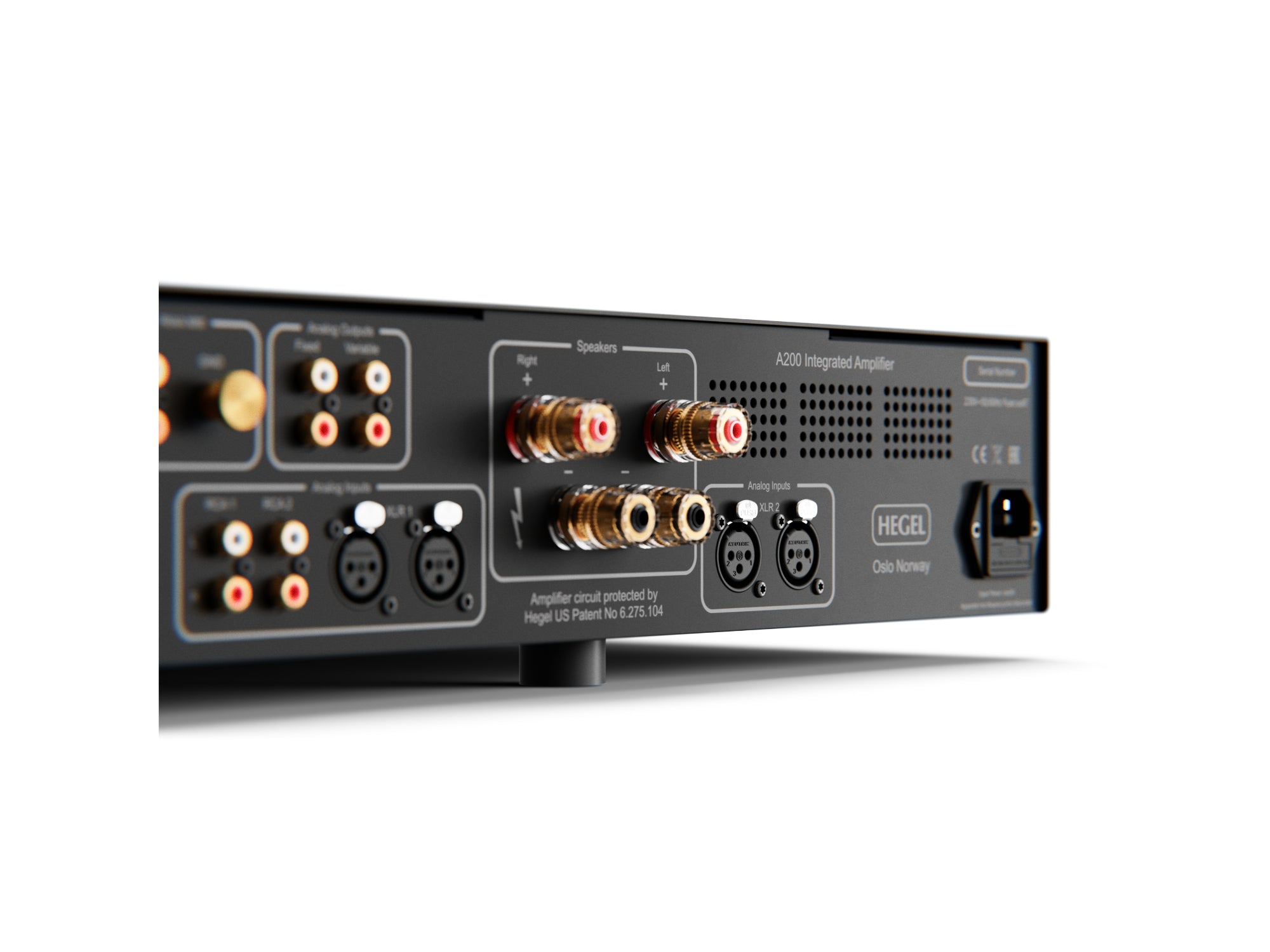 Close-up of the rear panel of a HEGEL A200 Integrated Amplifier, showing various audio and power input/output connectors including RCA, XLR, and power sockets on a white background.