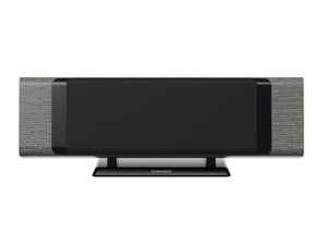 Dynaudio Contour 25Ci - Nordic Silver - Grille