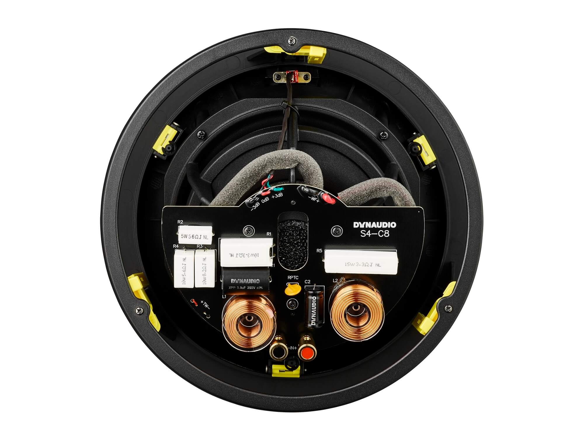 Dynaudio S4-C80 Studio Series - Rear