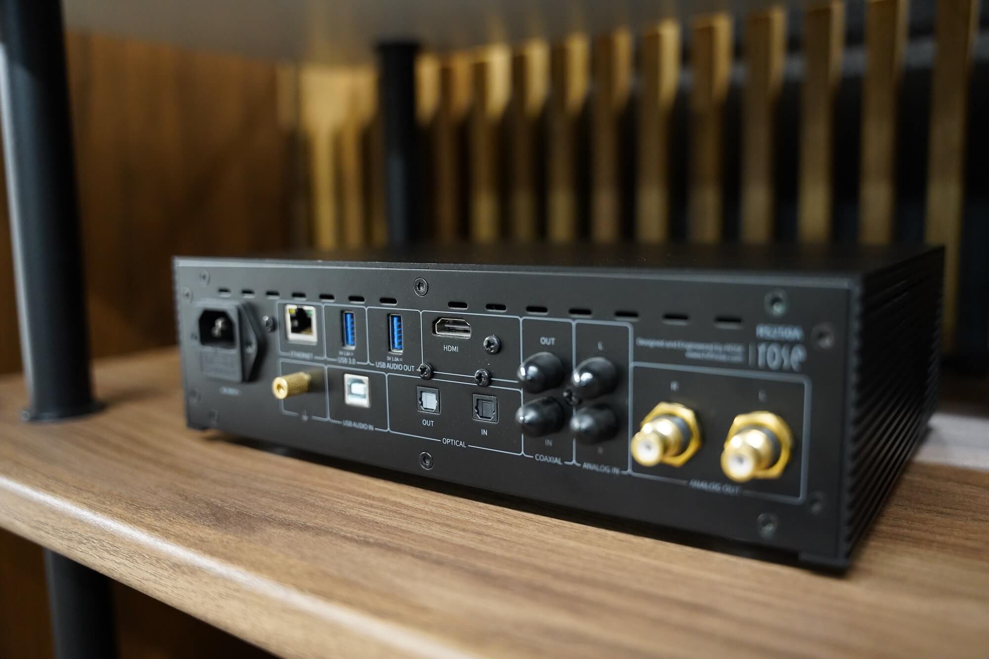 HiFi Rose RS250A - Rear