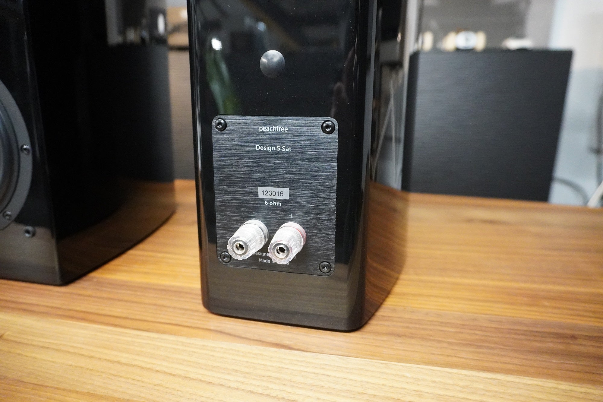Peachtree Audio D5 - Speaker Terminals