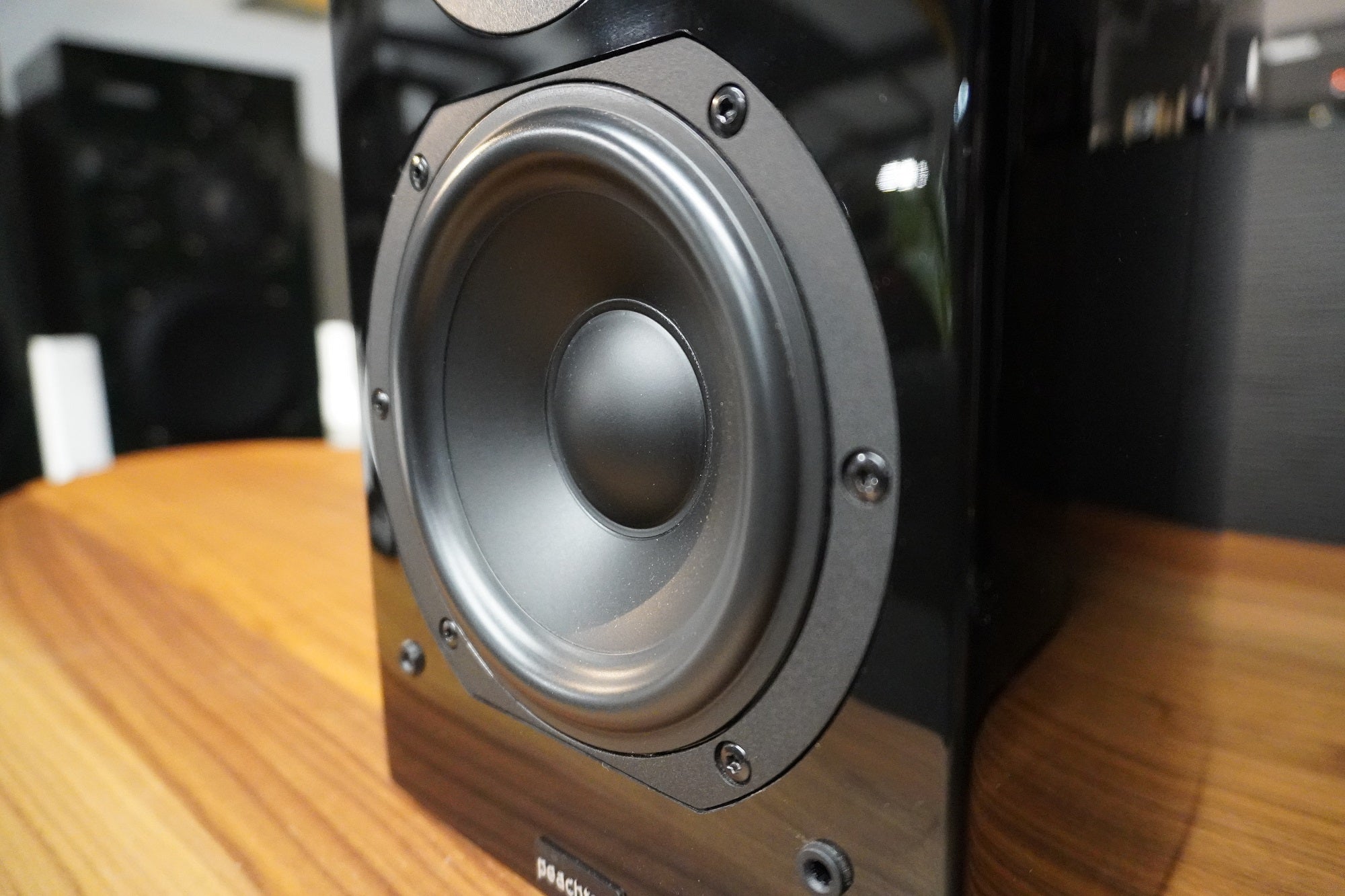 Peachtree Audio D5 - Woofer