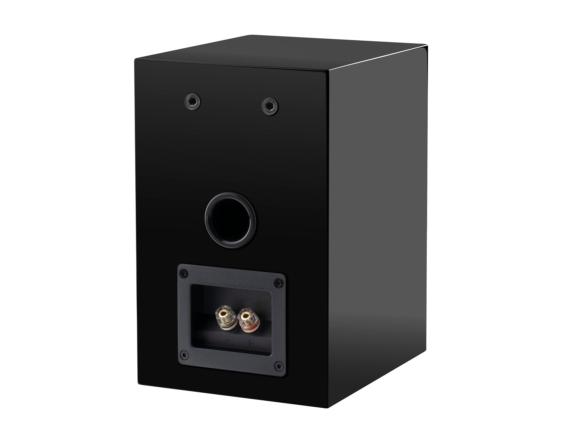 Pro-Ject Speaker Box 5 E - Black Rear