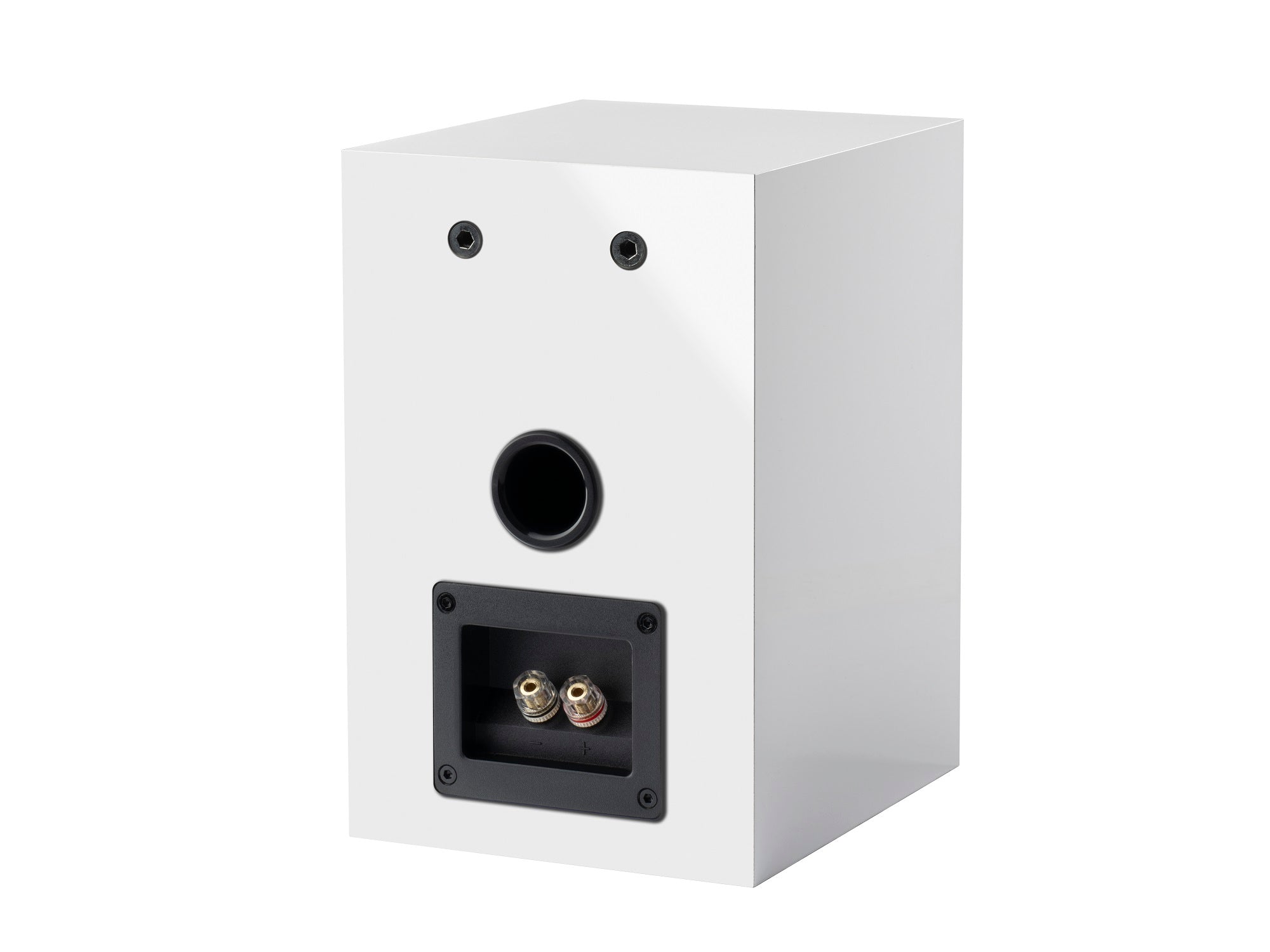 Pro-Ject Speaker Box 5 E - White Rear
