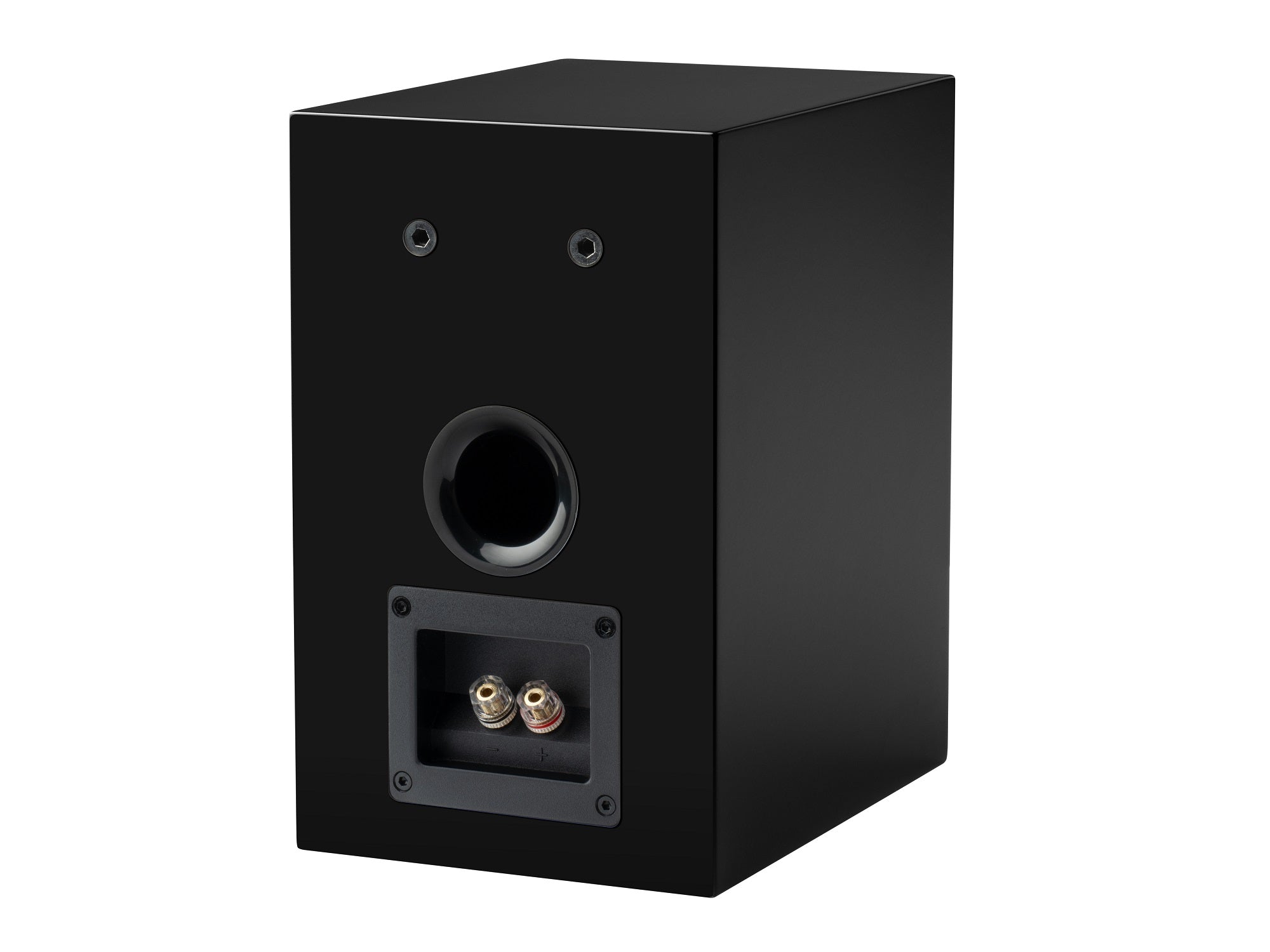 Pro-Ject Speaker Box 5 E Carbon - Black Rear