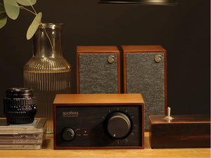 Spotless Audio D1 Mini - Studio Shot