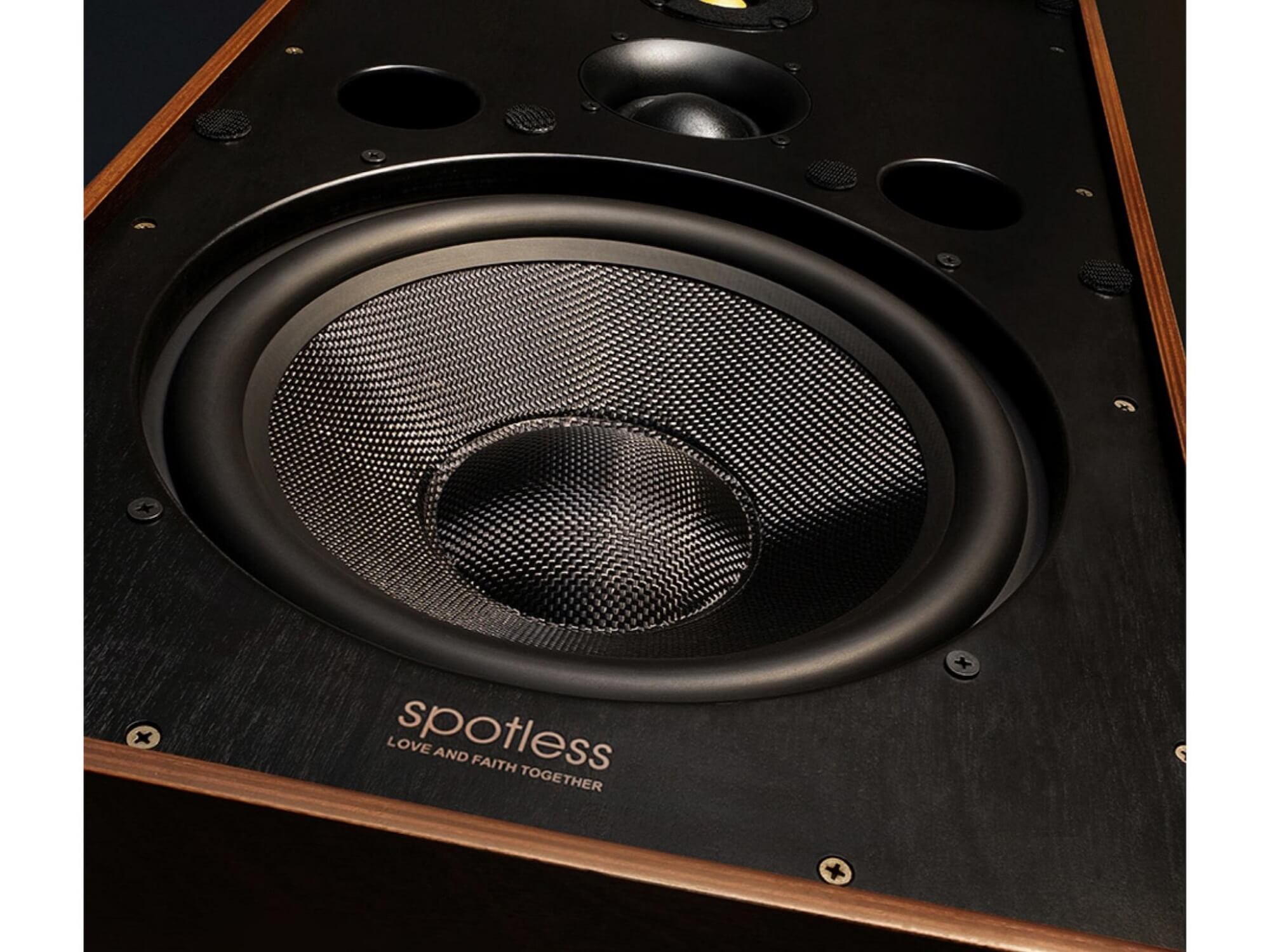 Spotless Audio Eternal 12.3 - Studio Shot Woofer
