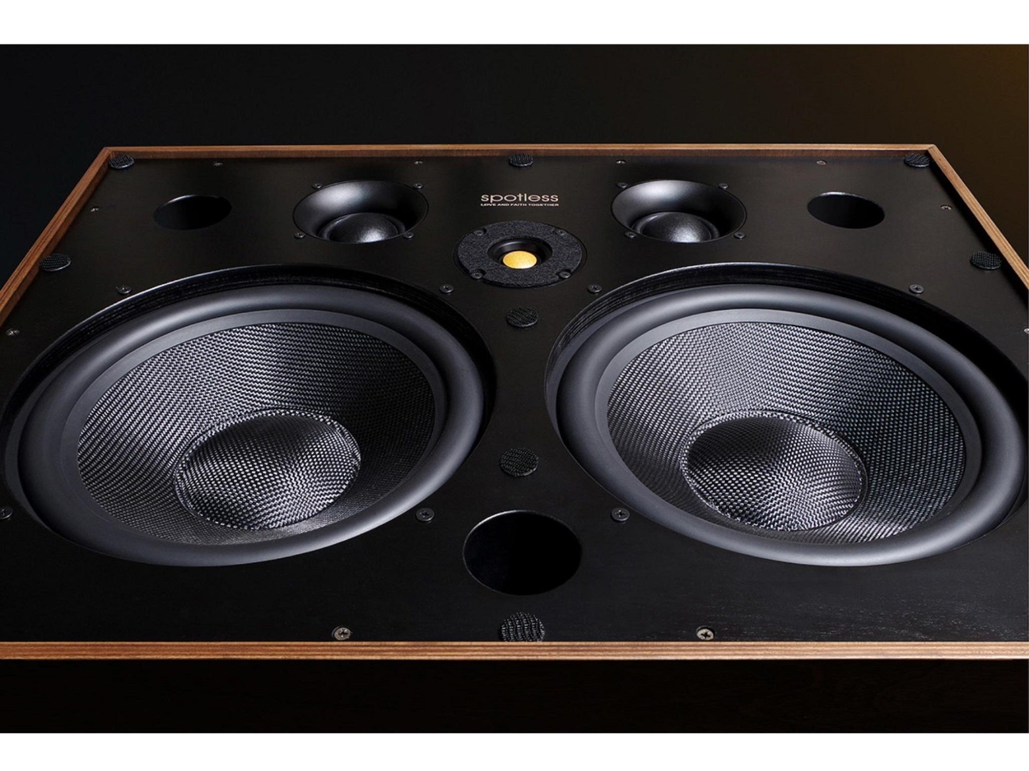 Spotless Audio Eternal 12.5 - Studio Shot 2