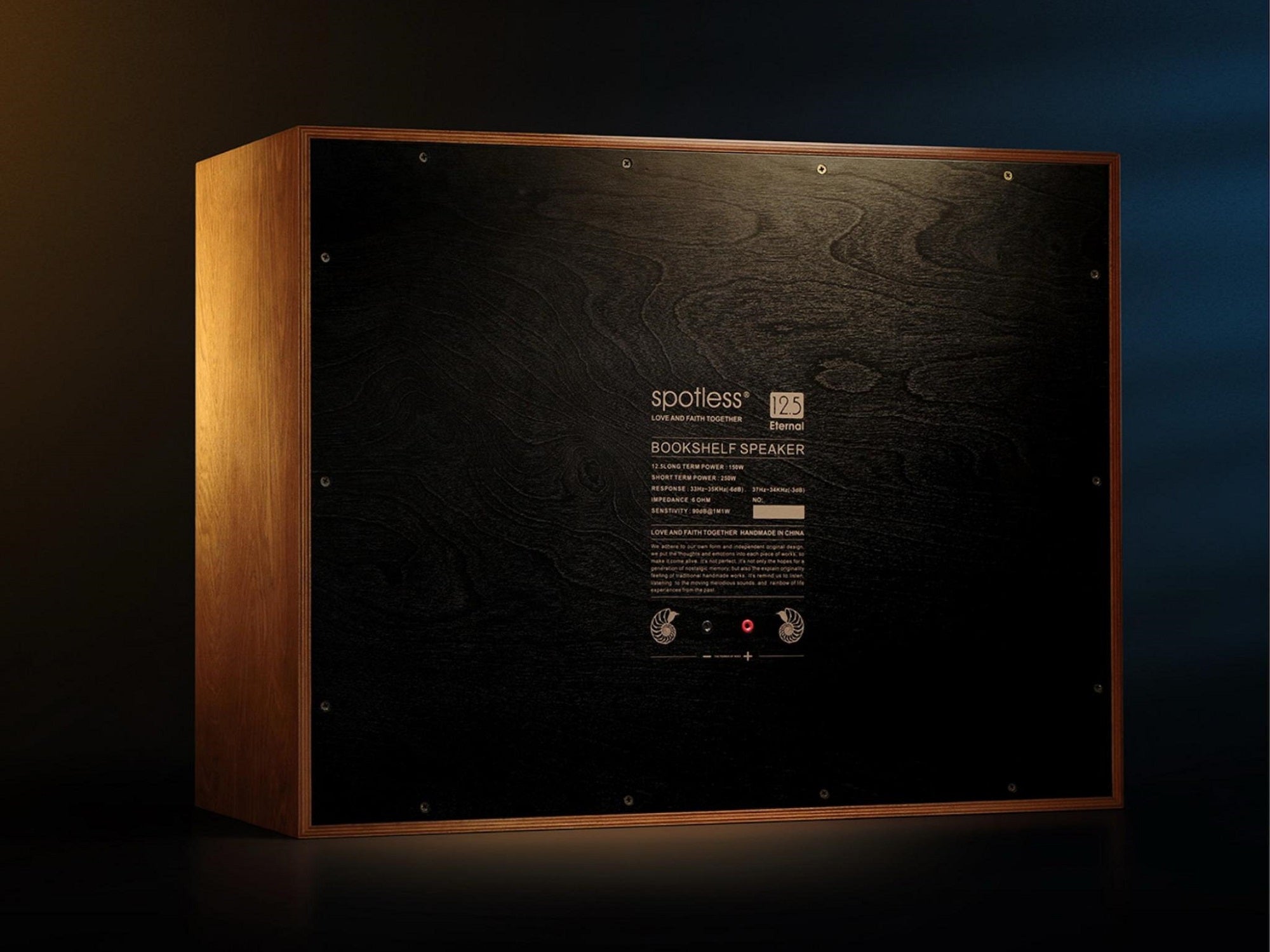 Spotless Audio Eternal 12.5 - Studio Shot Rear