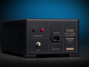 Spotless Audio P250 - Rear