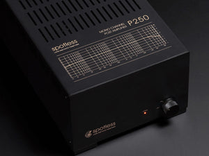 Spotless Audio P250 - Top