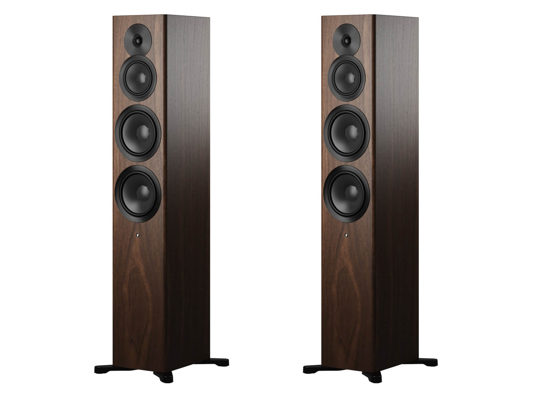 Dynaudio Focus 50 - Walnut