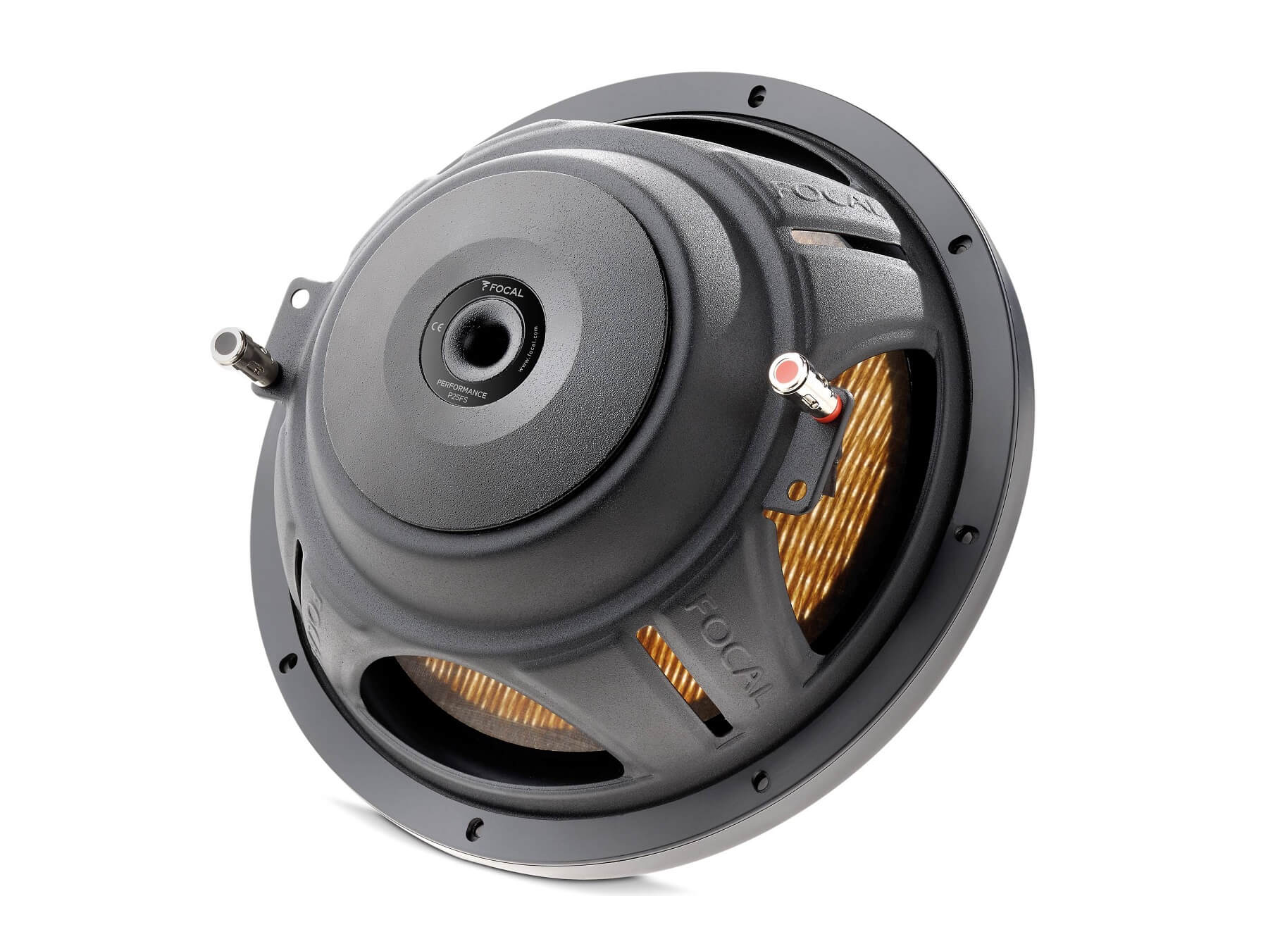 Focal Performance Flax Evo P 25 FSE - Back