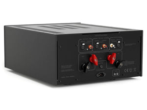 Hegel H30 - Dual Mono Power Amplifier - Back Angle